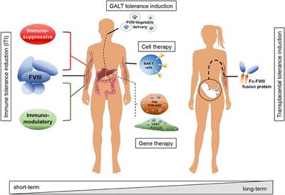 Escape or Fight: Inhibitors in Hemophilia A